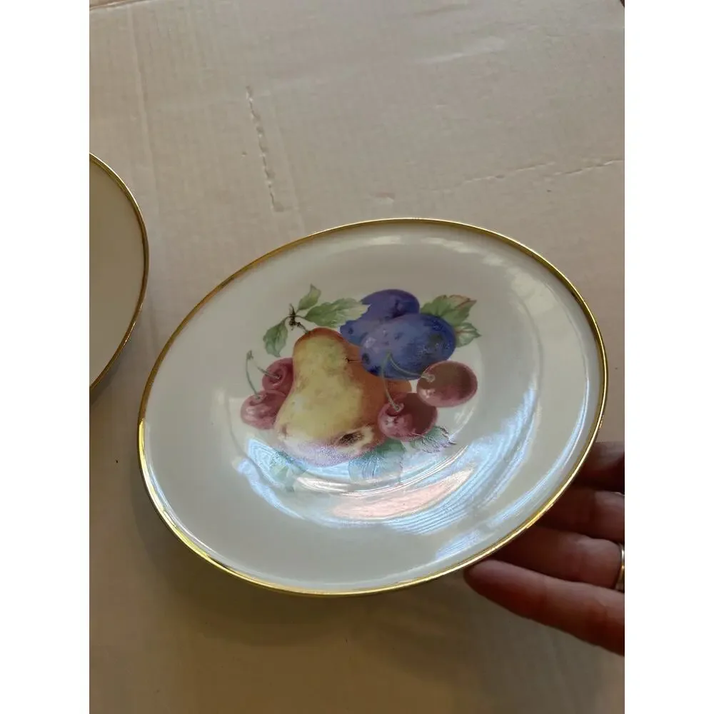 Vtg PORZELLANFABRIK ARZBERG Set Of 2 FRUIT 8” PLATES Wall Bone China Gold Rim